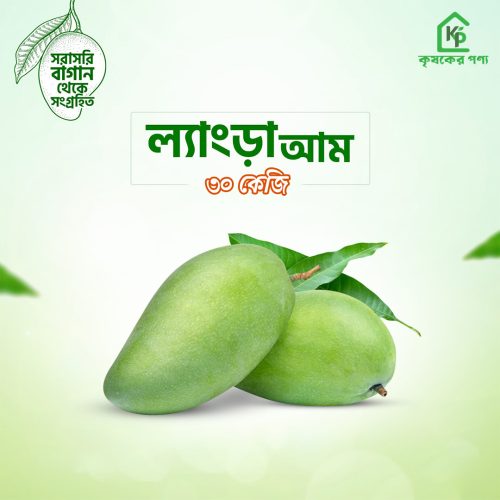 রাজশাহীর প্রিমিয়াম এ গ্রেট ল্যাংড়া আম (৩০ কেজি )